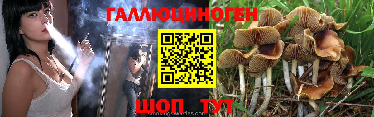 Галлюциногенные грибы Psilocybine cubensis  Вход с VPN  Зеленодольск 